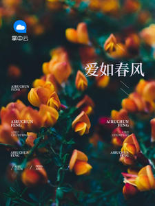 爱如春风