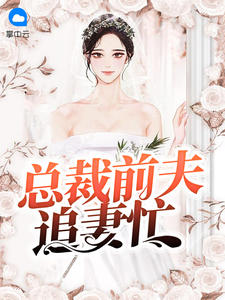 总裁前夫追妻忙