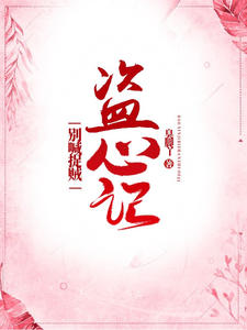 盗心记：别喊捉贼