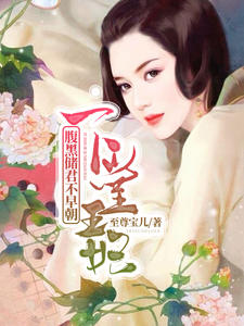 下堂王妃：腹黑储君不早朝