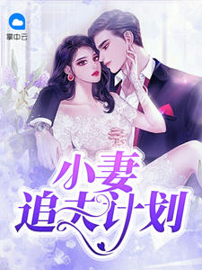 小妻追夫计划