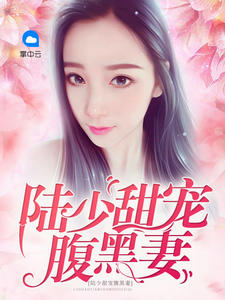 陆少甜宠腹黑妻