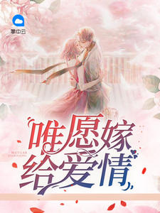 唯愿嫁给爱情