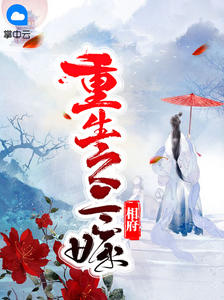 重生之二嫁相府