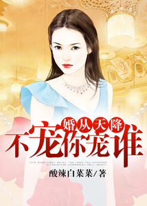 婚从天降：不宠你宠谁