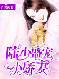 陆少盛宠小娇妻