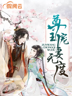 尊王宠妻无度
