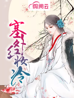 塞外红妆冷 