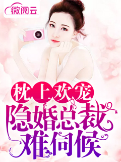 枕上欢宠：隐婚总裁难伺候