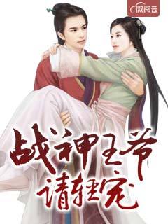 战神王爷请轻宠