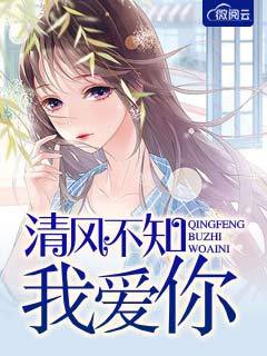 清风不知我爱你
