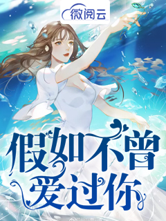 假如不曾爱过你