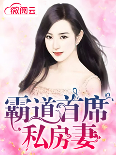 霸道首席私房妻
