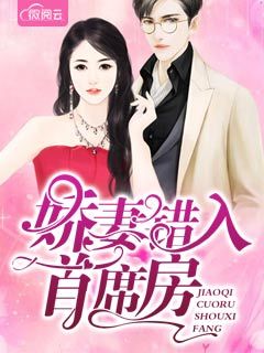 娇妻错入首席房
