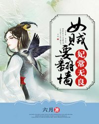 妃常无良：女贼要翻墙