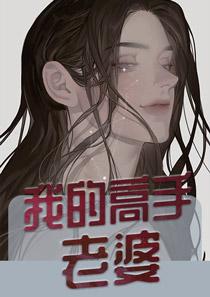 我的高手老婆