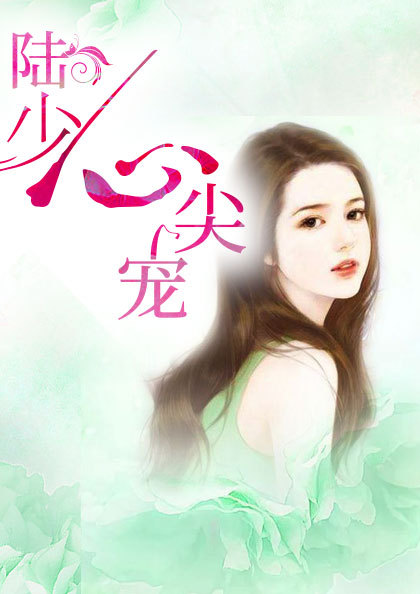 陆少心尖宠
