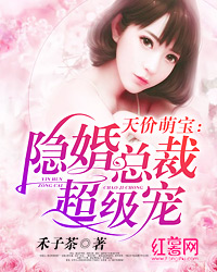隐婚总裁超级宠