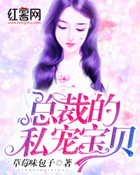 总裁的私宠宝贝