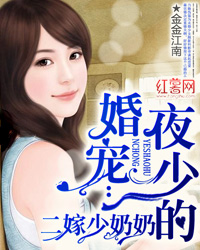 夜少的婚宠