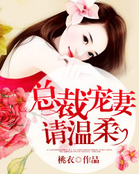 总裁宠妻请温柔