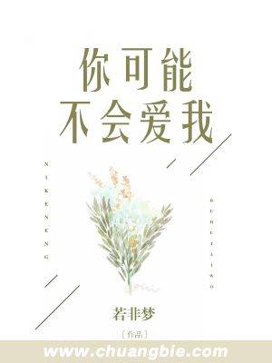 你可能不会爱我