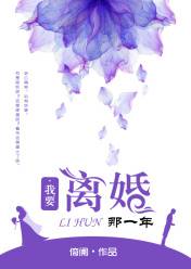 我要离婚那一年