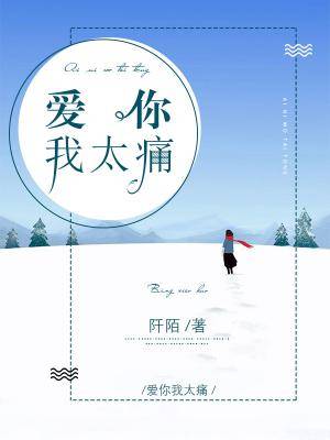 爱你我太痛