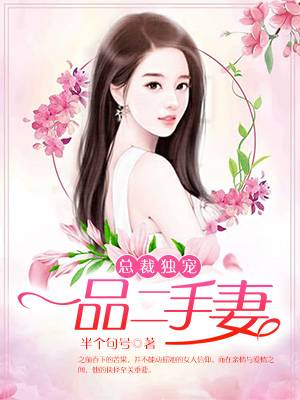 总裁独宠：一品二手妻