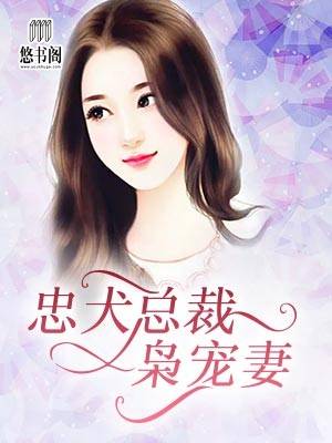 忠犬总裁枭宠妻
