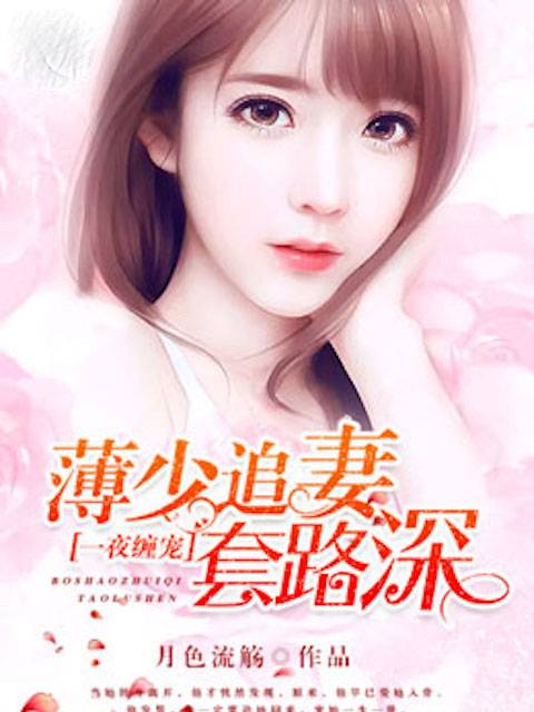 一夜缠宠，薄少追妻套路深