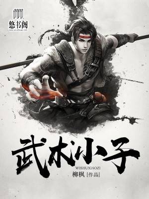 武术小子
