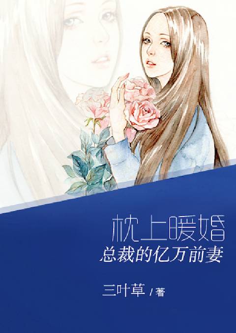 枕上暖婚：总裁的亿万前妻