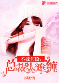 不嫁何撩：总裁太难缠
