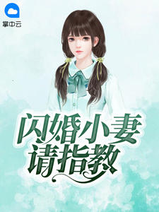 闪婚小妻请指教