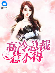 高冷总裁惹不得