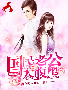 宠婚无度，国民老公太腹黑