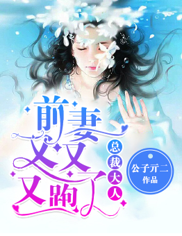 总裁大人：前妻又又又跑了