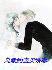 总裁的宝贝娇妻