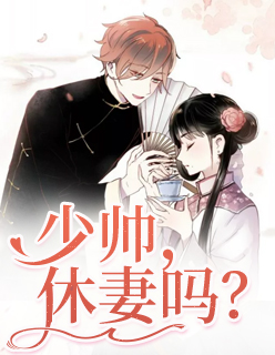 少帅，休妻吗？