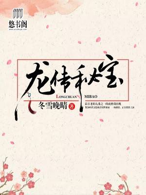 龙传秘宝