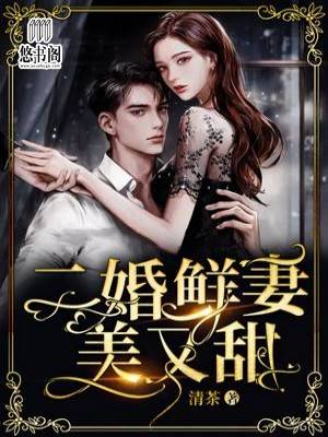 二婚鲜妻美又甜