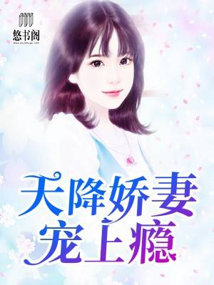 天降娇妻宠上瘾