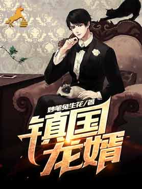 镇国龙婿
