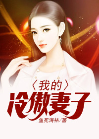 我的冷傲妻子