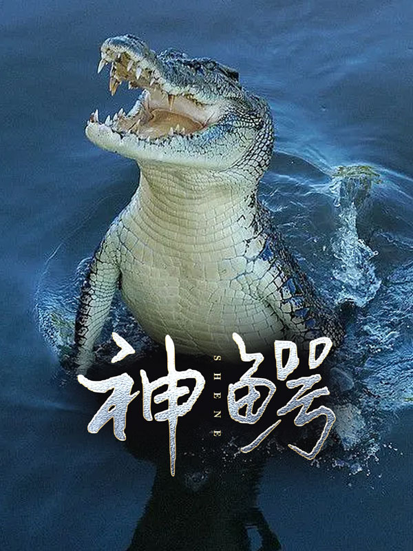 狂野人生