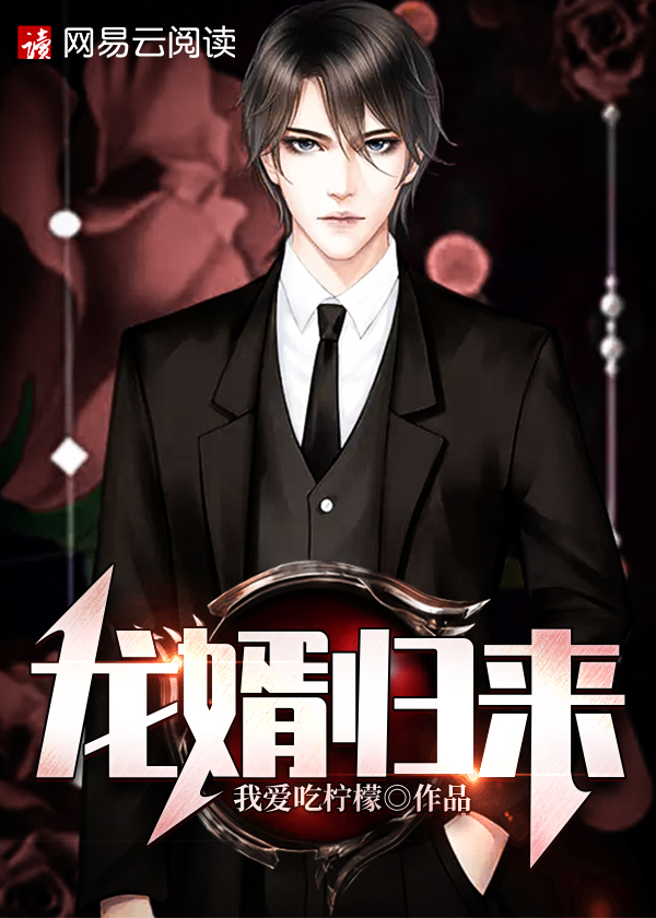 龙婿归来